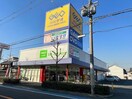 ゲオ東大阪若江店(ビデオ/DVD)まで1789m 花園グレースマンション