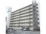 若草ハイツ