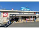 ウエルシア東大阪西岩田店(ドラッグストア)まで696m アメニティサントリーニ