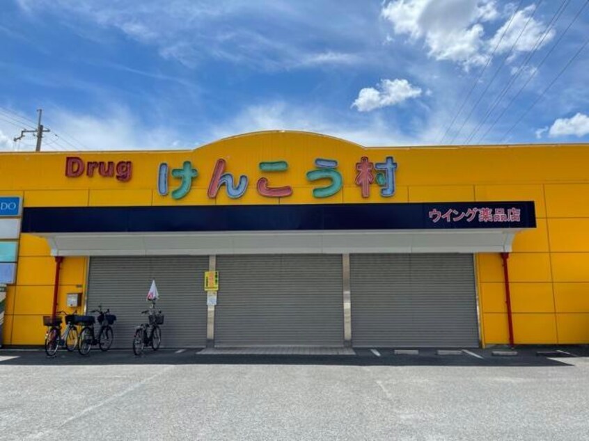 けんこう村花園店(ドラッグストア)まで845m メゾングローブ