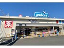 ウエルシア東大阪西岩田店(ドラッグストア)まで332m ファミーユ2002