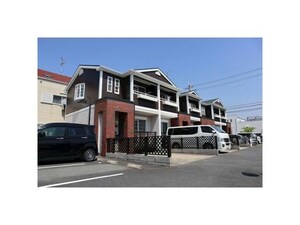 ジィプソフィラ