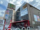 コノミヤ若江岩田店(スーパー)まで311m グラン シーズン2
