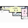グランシティ 1LDKの間取り