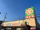 ライフ玉串店(スーパー)まで569m エトワールセボン