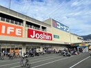 コーナンPRO外環新石切店(電気量販店/ホームセンター)まで1816m シエンプレ