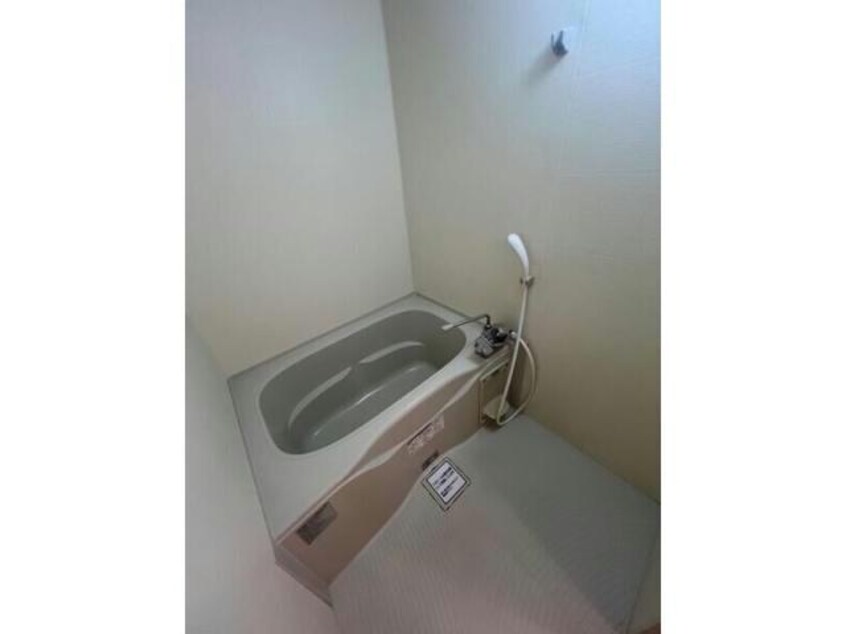  アルヴァーレⅡ