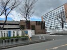 私立近畿大学(大学/短大/専門学校)まで1090m メゾンドゥ長瀬
