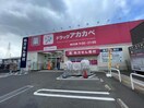 ドラッグアカカベ吉田店(ドラッグストア)まで181m グランドハイツ