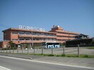 私立佐賀女子短期大学(大学/短大/専門学校)まで1637m ロイヤルタウン八戸