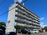 パステル11