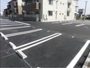  パドレ　ヴィヴィ