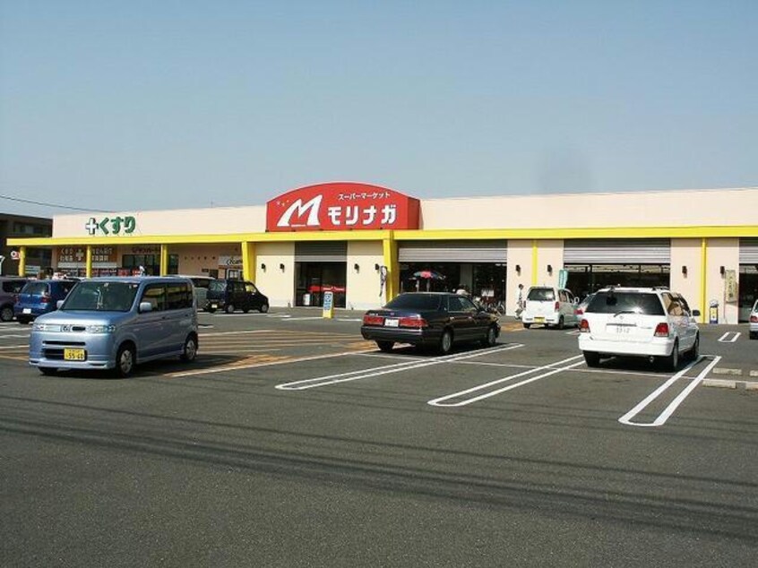 スーパーモリナガ高木瀬店(スーパー)まで1255m Gran Alegria