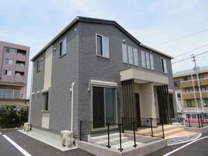 さくらⅦ