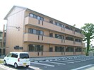 グランドゥール杉の外観