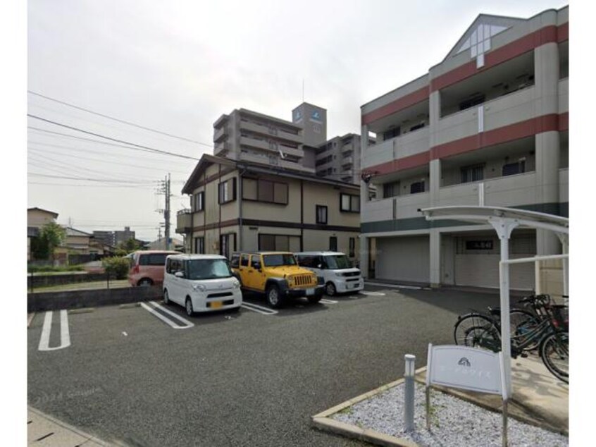  エーデルワイス