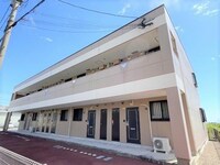 エルカーサコヤナギ