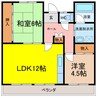 井上マンション 2LDKの間取り