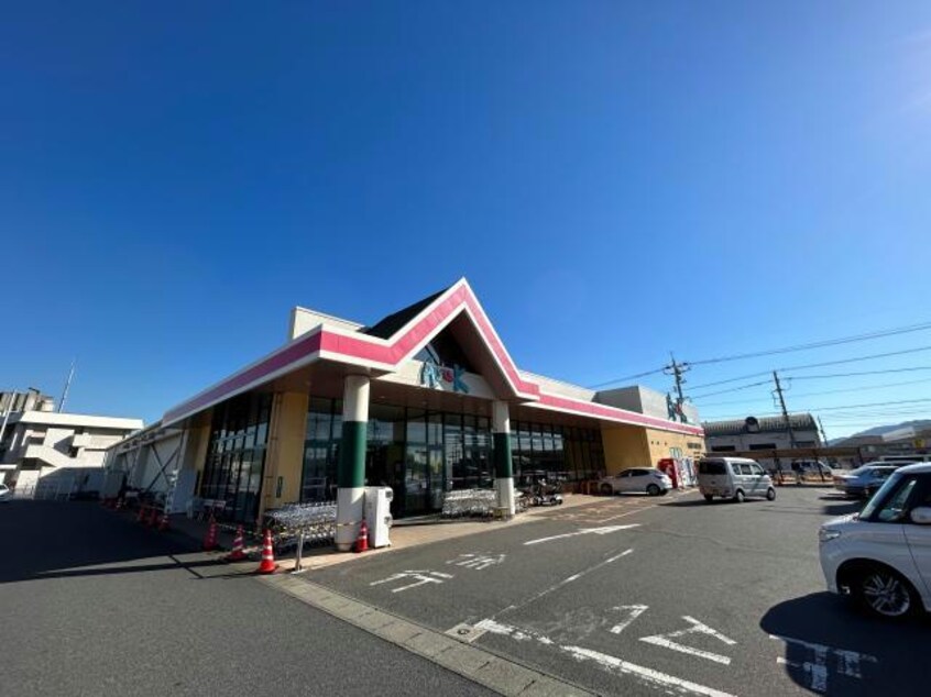 アルク新南陽店(スーパー)まで984m ソレイユ