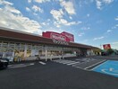 マックスバリュ浅江店(スーパー)まで528m ラ・メールブルー