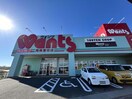 ウォンツ周南富田店(ドラッグストア)まで474m アーバン楠本