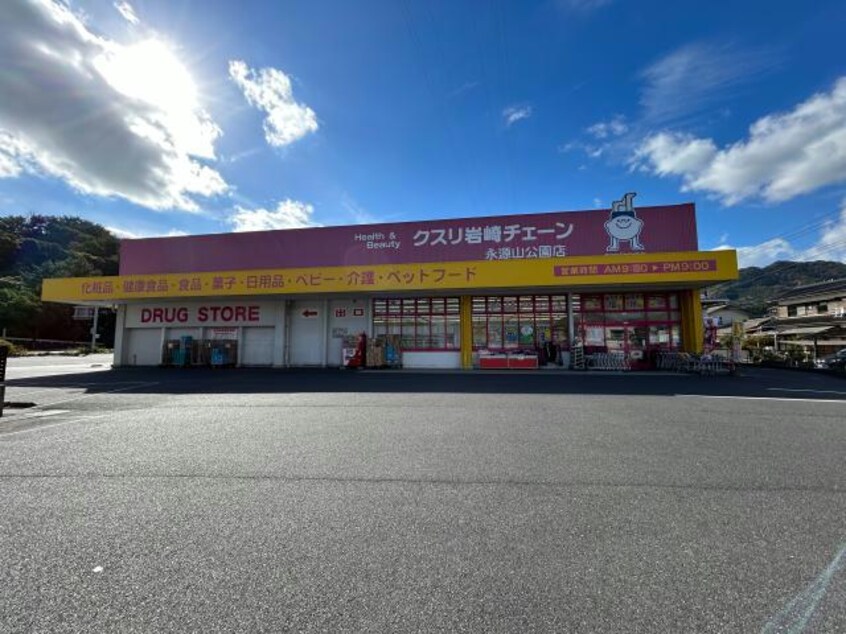 クスリ岩崎チェーン永源山公園店(ドラッグストア)まで1129m ルピナスA棟