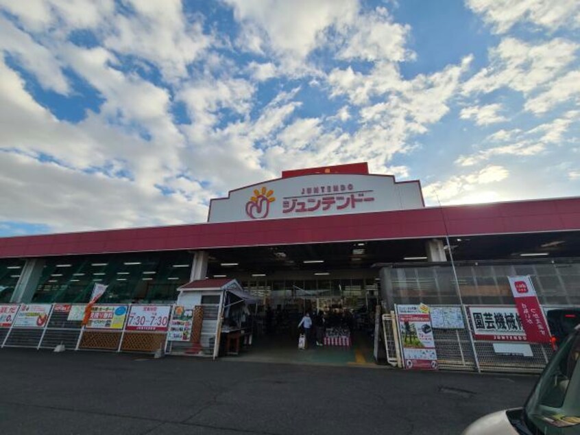 ホームセンタージュンテンドー光店(電気量販店/ホームセンター)まで839m セジュール浅江