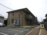 光2011