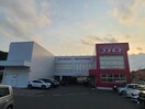 ディスカウントドラッグコスモス遠石店(ドラッグストア)まで1317m アークヒルズ　東山