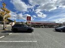 ホームセンタージュンテンドー新南陽店(電気量販店/ホームセンター)まで491m シュロスヤマナカ