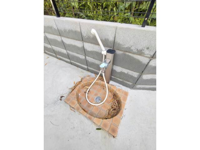  ベティハウス右山