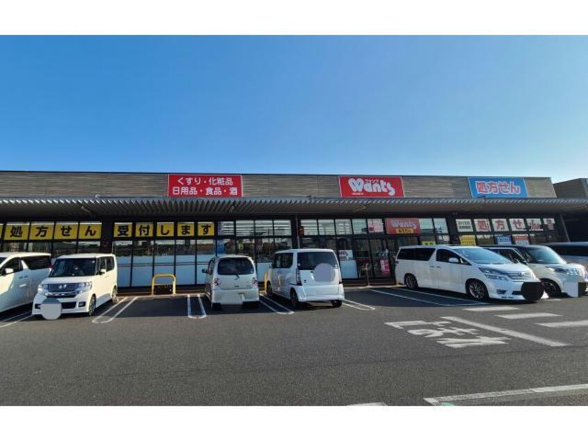 ウォンツイオンタウン周南久米店(ドラッグストア)まで1419m リアン　ミュール