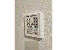  リアン　ミュール
