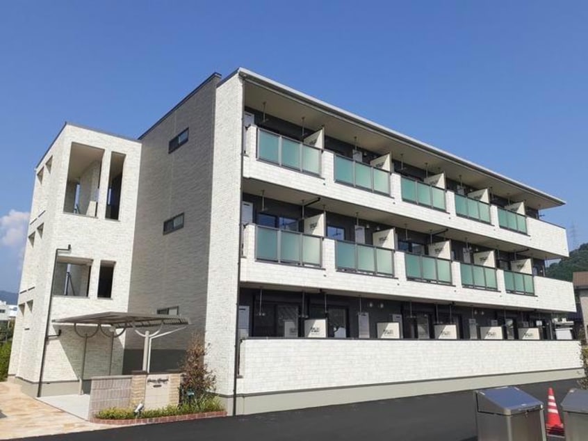  チェリー　ブロッサム