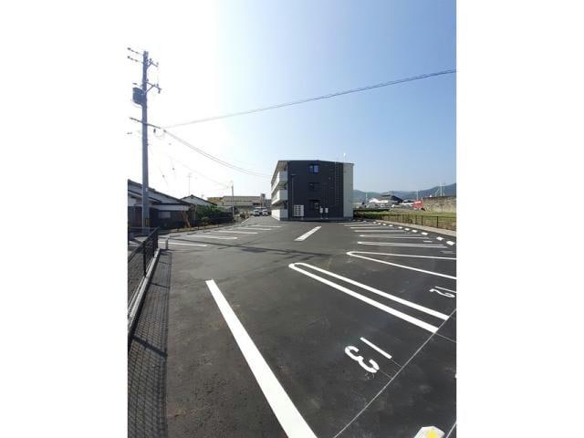  チェリー　ブロッサム