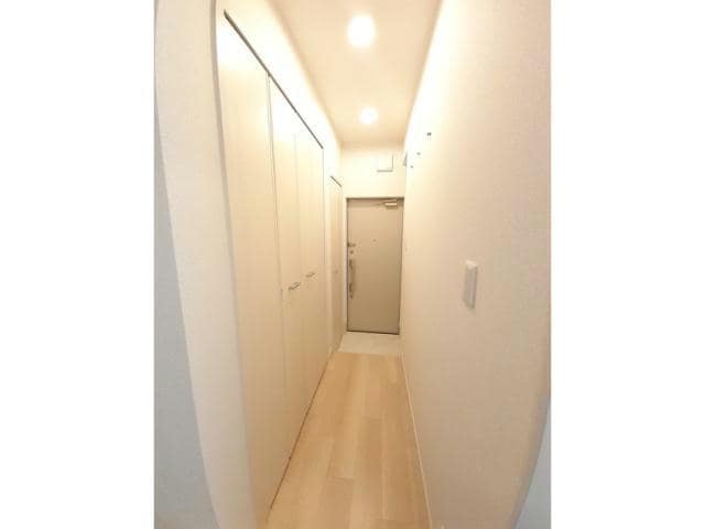  チェリー　ブロッサム