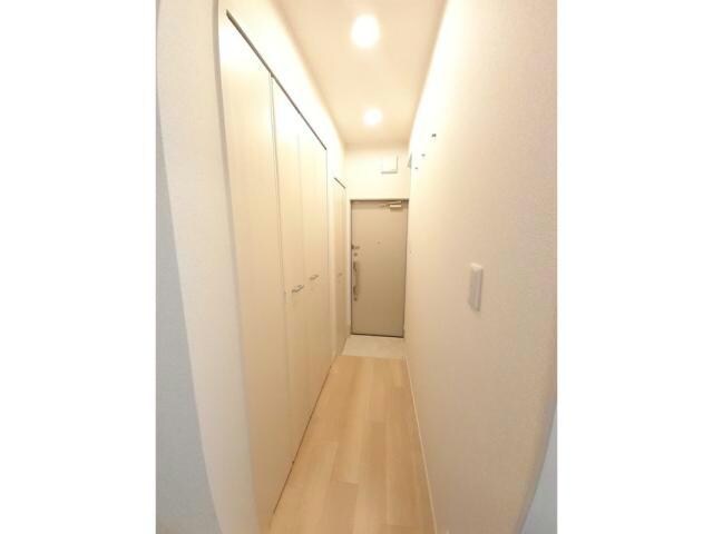  チェリー　ブロッサム