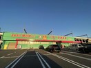 ディスカウントドラッグコスモス徳山駅店(ドラッグストア)まで330m カーサ・ミラ