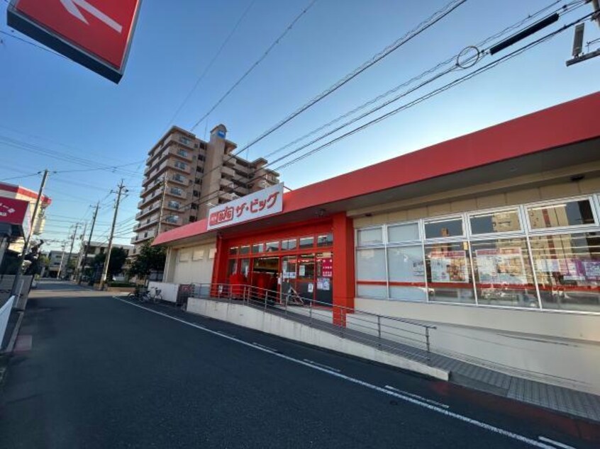 ザ・ビッグ徳山西店(ディスカウントショップ)まで307m カーサ・ミラ