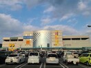 サンリブ下松(スーパー)まで1397m ルネッサンス花岡B棟