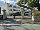 周南市立櫛浜小学校(小学校)まで299m パールハイツB棟