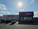 ディスカウントドラッグコスモス虹ケ浜店(ドラッグストア)まで855m フレグランス上尾　Ｂ棟