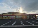 ドラッグストアモリ下松店(ドラッグストア)まで576m ユーミーマンション　アルカディア美里