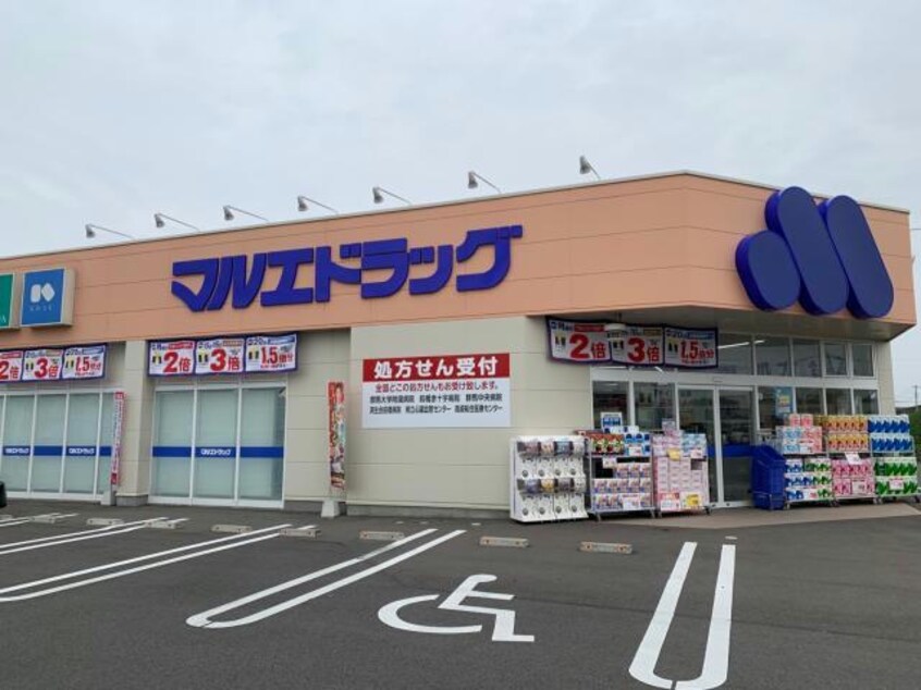 マルエドラッグ前橋元総社蒼海店(ドラッグストア)まで1014m 上越線（群馬県内）/新前橋駅 徒歩27分 2階 築25年