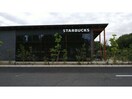 スターバックスコーヒー敷島公園店(その他飲食（ファミレスなど）)まで776m ヴィラたかはし