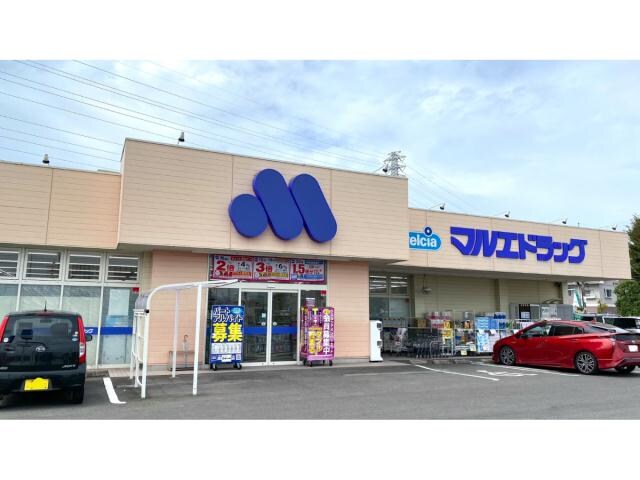 マルエドラッグ高崎新保店(ドラッグストア)まで246m 上越線（群馬県内）/高崎問屋町駅 徒歩24分 1階 築20年