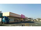 ダイソーフレッセイ新保店(ディスカウントショップ)まで818m 上越線（群馬県内）/高崎問屋町駅 徒歩24分 2階 築20年