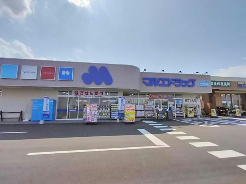 マルエドラッグ高崎棟高バイパス店(ドラッグストア)まで176m 上越線（群馬県内）/井野駅 徒歩56分 2階 築10年