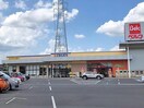 クリエイトエス・ディー前橋総社町店(ドラッグストア)まで339m 上越線（群馬県内）/群馬総社駅 徒歩25分 1階 築16年