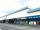 カワチ薬品前橋南店(ドラッグストア)まで1064m 両毛線/前橋駅 徒歩20分 3階 築5年